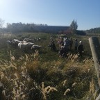 Turistická vycházka s překvapením - Vlčata